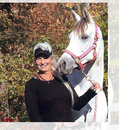 Cypress Trails Ranch Darolyn Butler - how much robux cost a rideable horse