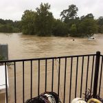 Darolyn Butler - Houston - Hurricane Harvey