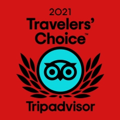 2021 Travelers Award