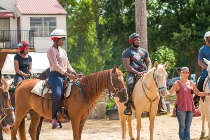 a group of people standing next to a horse