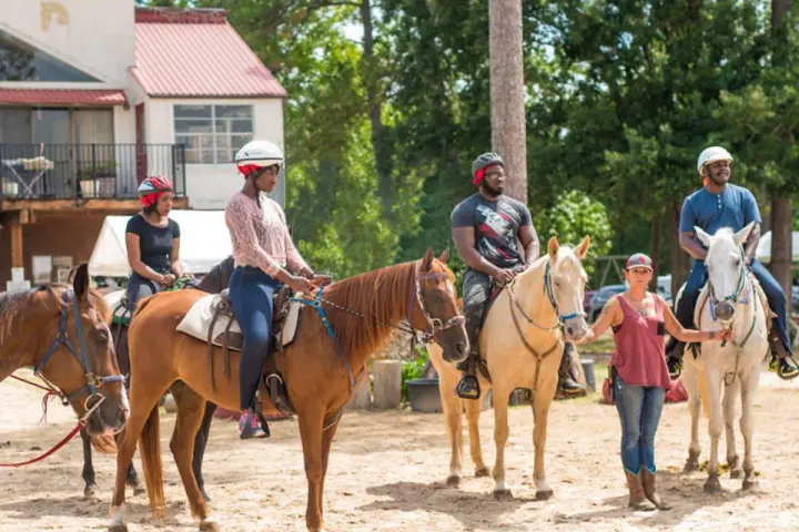 a group of people riding on the back of a horse