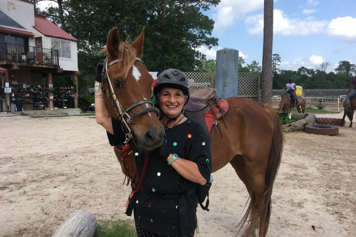 a person riding a horse in the dirt