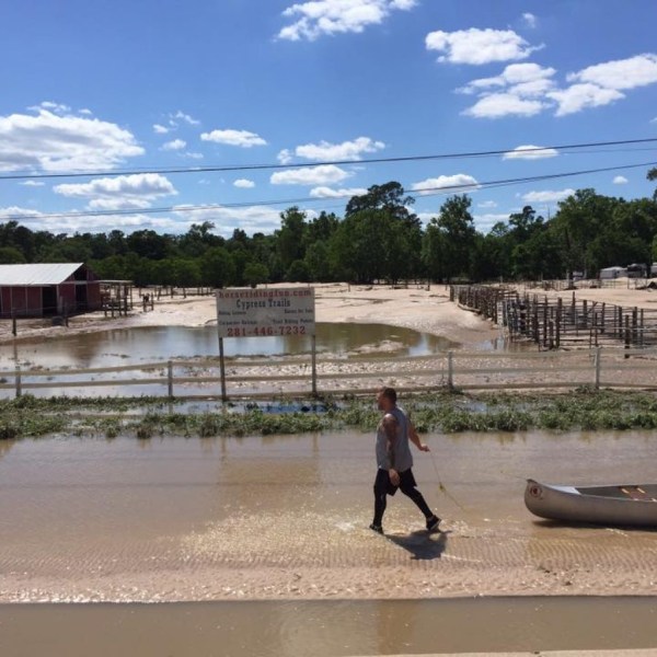a group of people walking on a beach