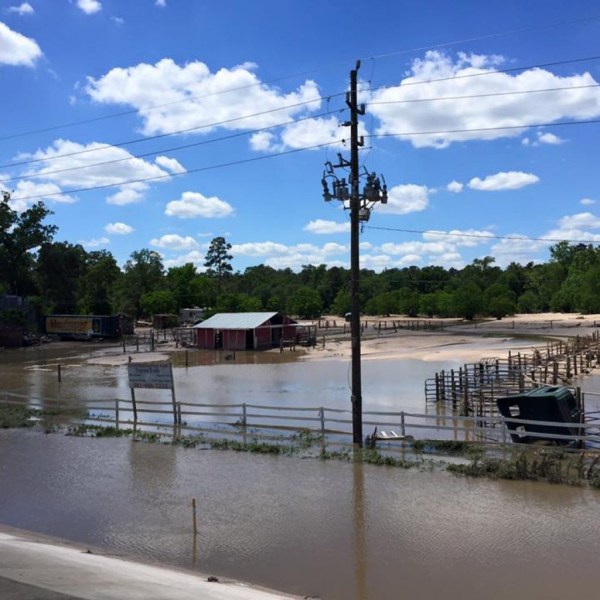a bridge over a body of water