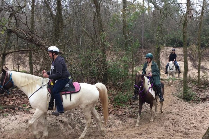 a man riding a horse in a forest