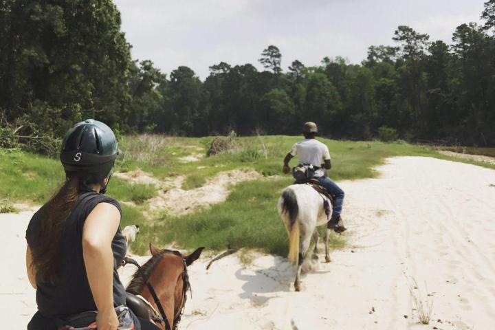 a group of people riding on the back of a horse