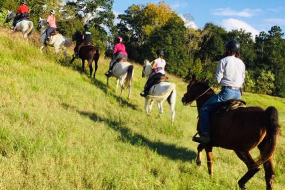 a group of people riding on the back of a horse in a field