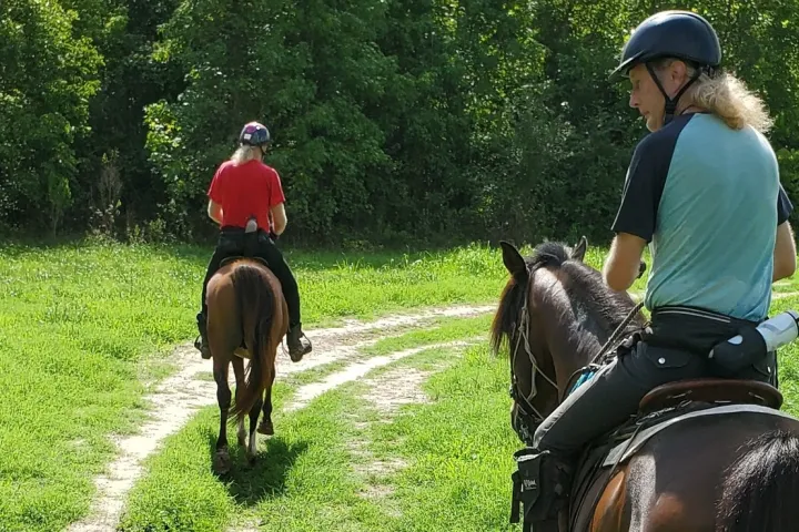 a man riding a horse in a field