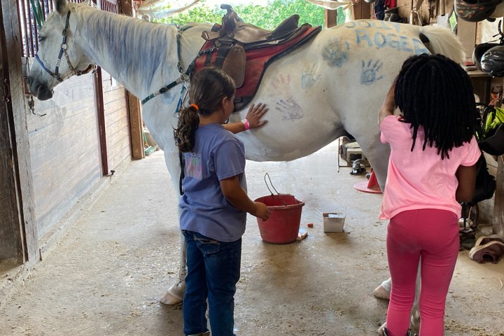 a young boy standing next to a horse