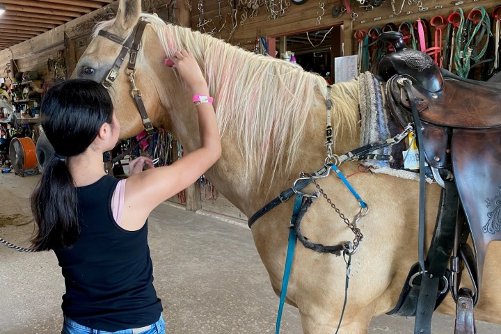 a woman petting a horse