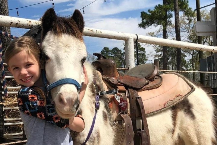 a person riding a horse