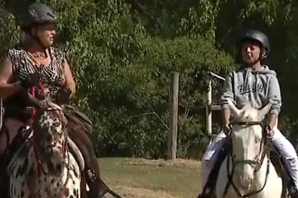 a person riding a horse