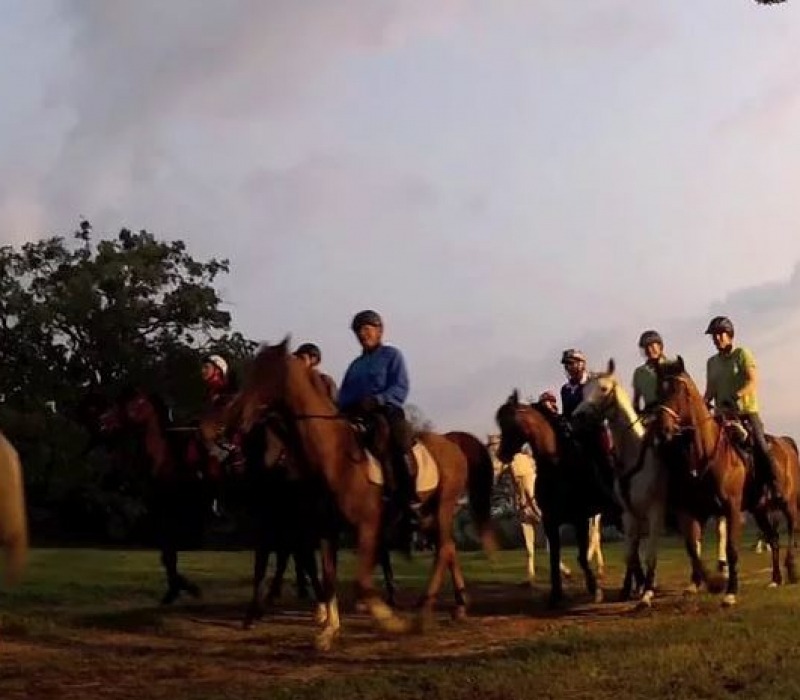 a group of people riding on the back of a horse