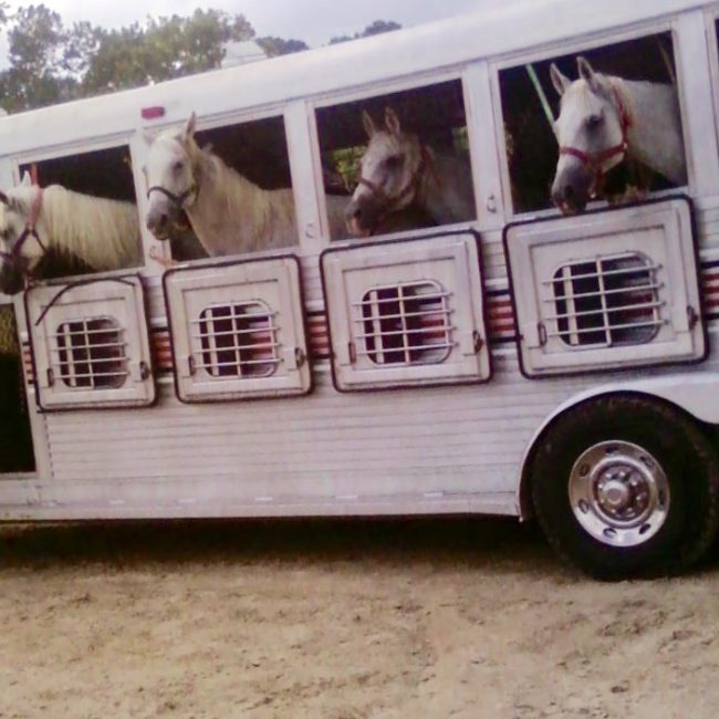 a group of people standing next to a truck