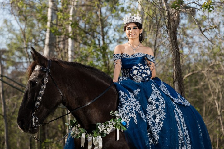 Woman in blue gown and crown rides a decorated black horse in a forest.