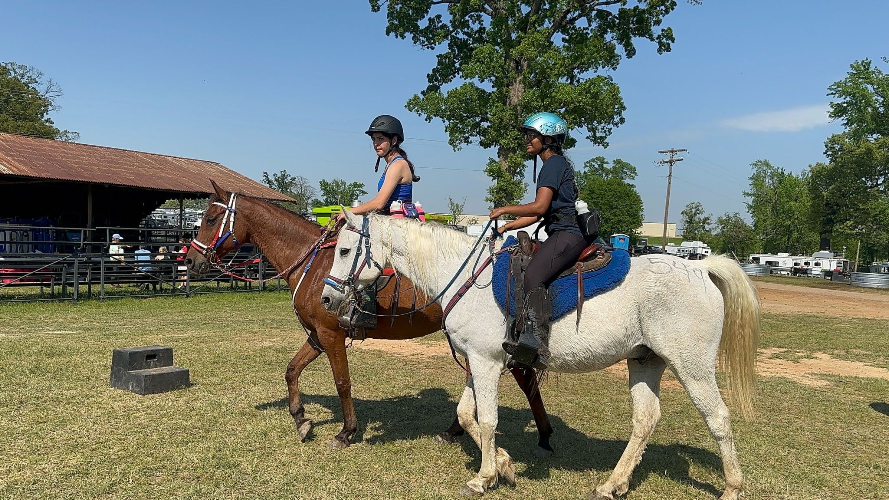 a person riding a horse