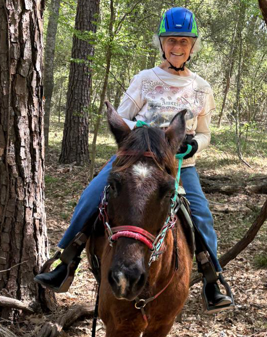 a person riding a horse in a forest