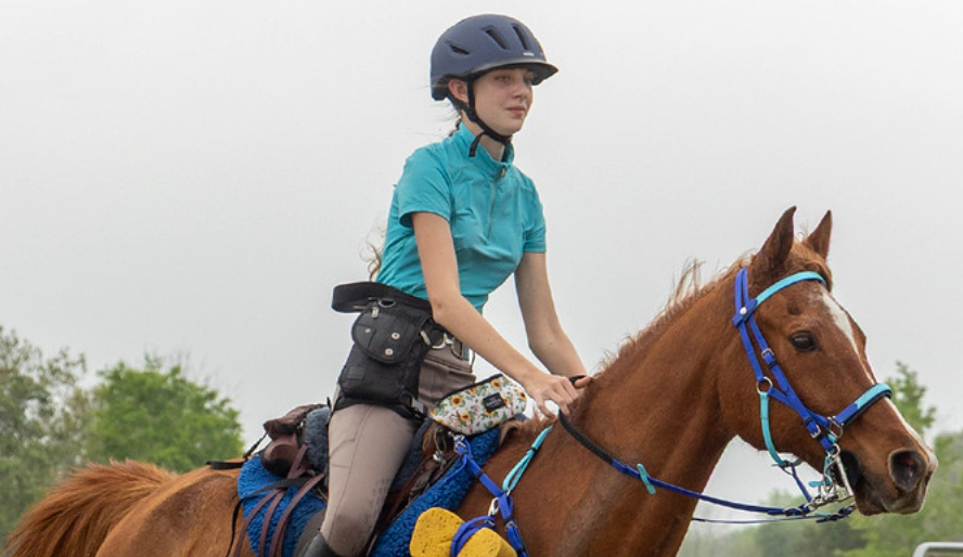 a person riding on the back of a brown horse