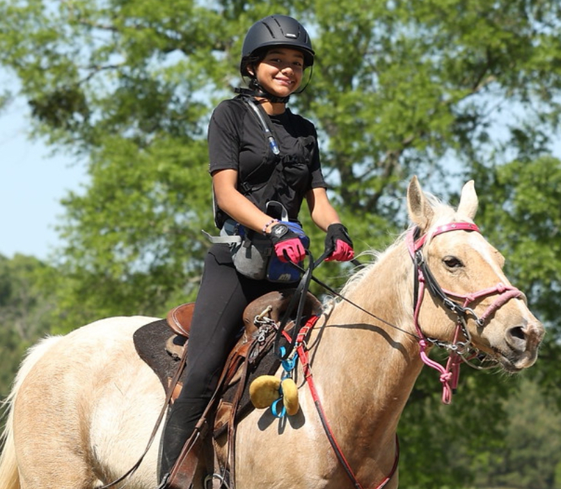 a person riding a horse
