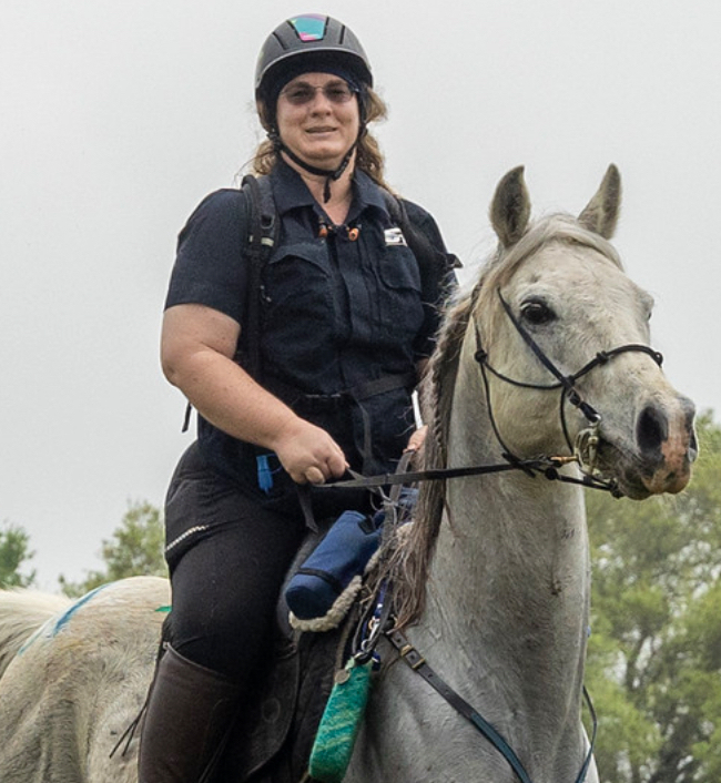 a person riding a horse