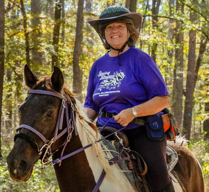 a person riding a horse