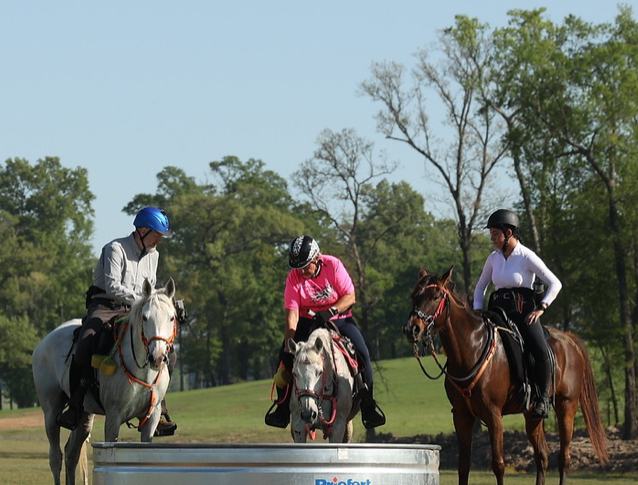 a group of people riding on the back of a horse