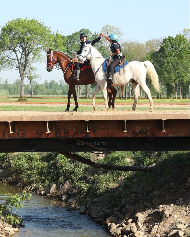 a person riding a horse