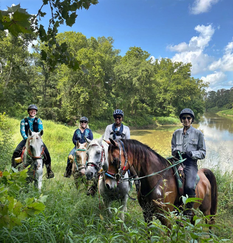 Four people riding horses on a grassy riverbank under a blue sky.