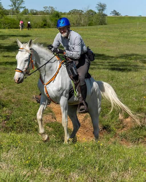 Person in blue helmet riding a white horse on grassy terrain; others in the background.