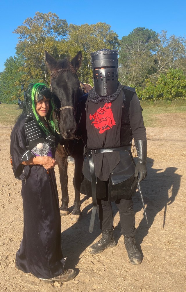 Person in medieval armor and person in costume with horse on sunny day.
