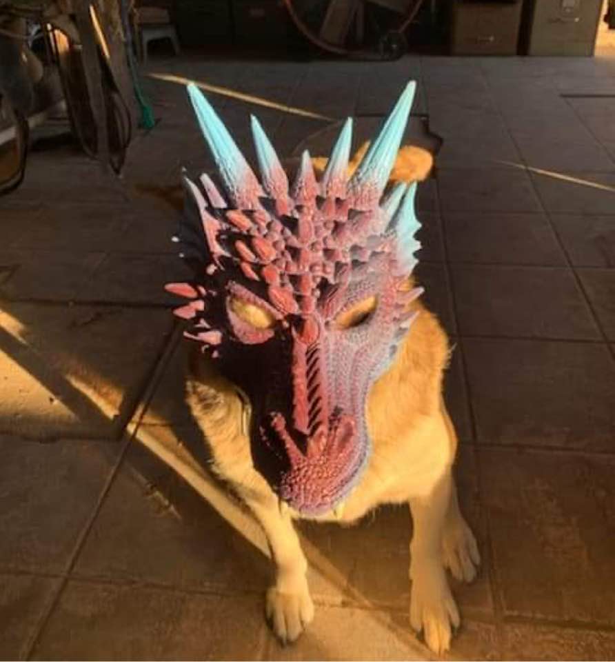 Dog wearing a spiky dragon mask, sitting on tiled floor in sunlight.