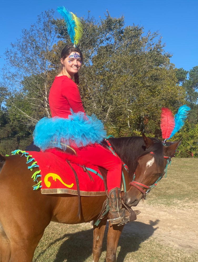 Person in colorful costume on horse with matching decorations in an outdoor setting.