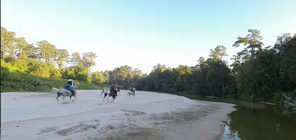 Three people horseback riding on a sandy riverbank, surrounded by trees under a clear blue sky.