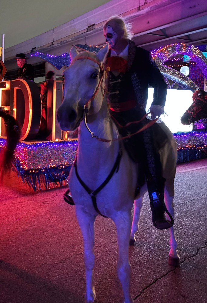 Person in skeleton costume rides a white horse at a nighttime parade with colorful lights.