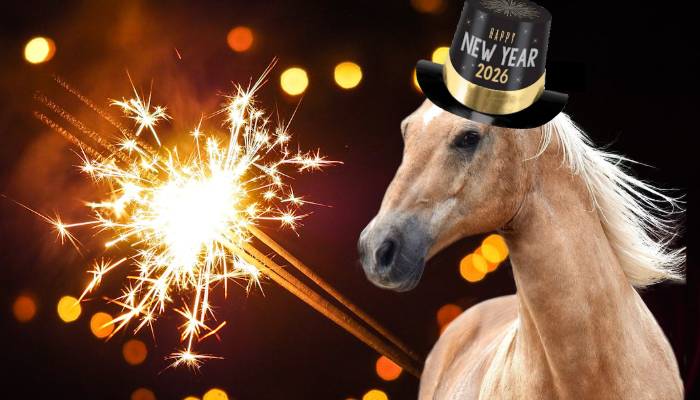 Horse wearing New Year 2026 hat with sparklers and bokeh lights in background.