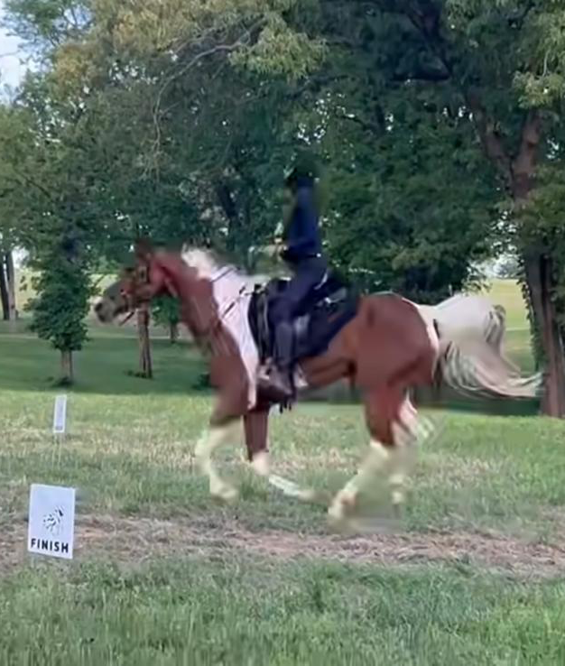 Person upside down on brown horse in grassy field, trees in background, sign says 'Finish'.