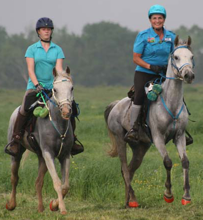 Two people riding horses in a grassy field.
