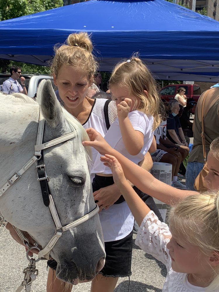 Children pet a white horse under a blue tent at an outdoor event.
