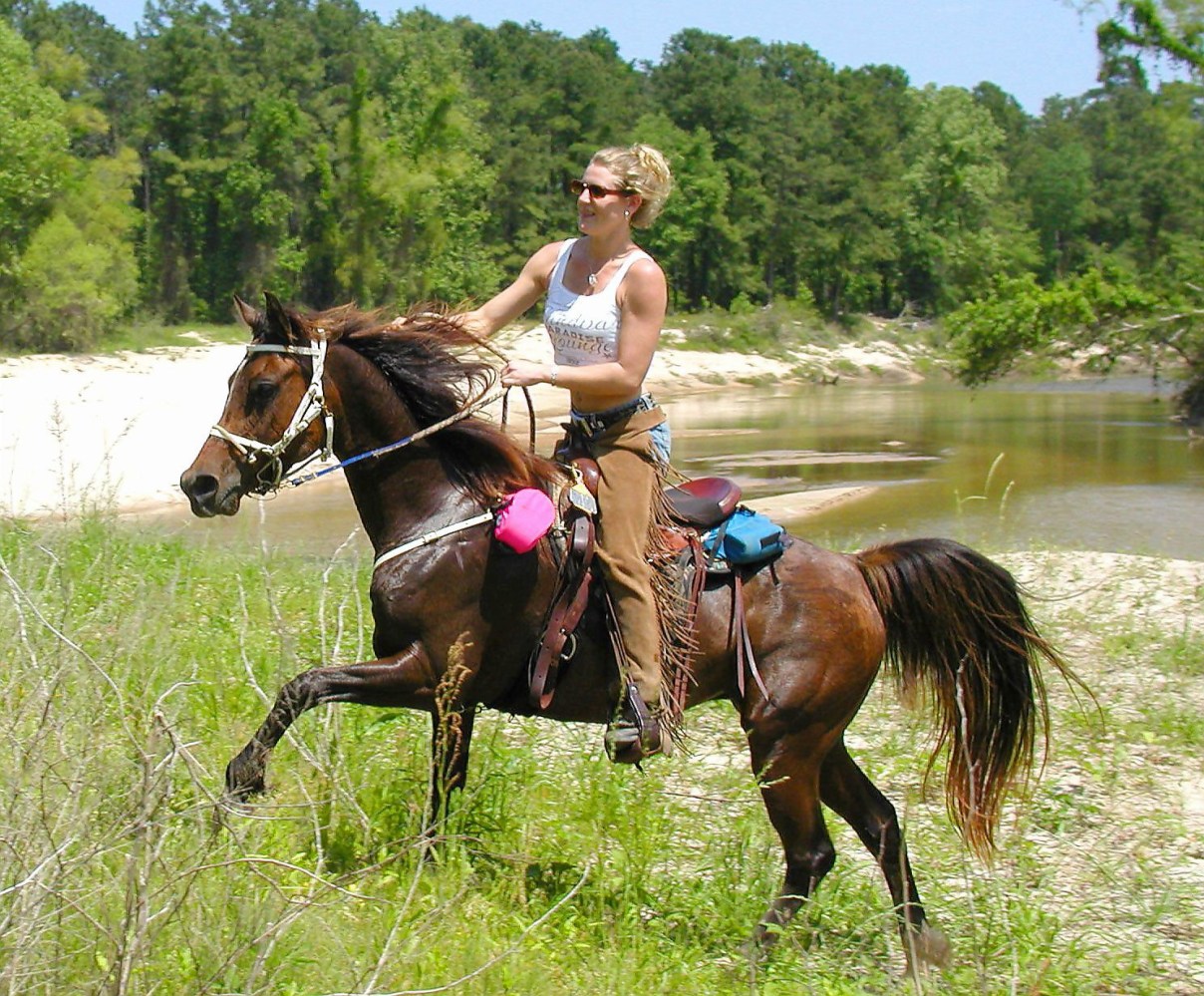 Person riding a brown horse near a river and trees.