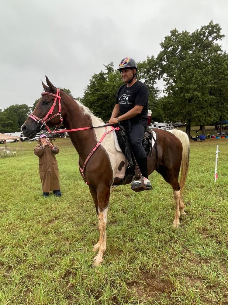 Person riding a horse in a grassy area with trees in the background.