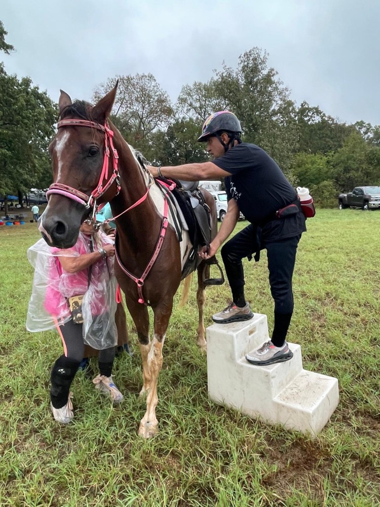 Person mounts a horse using a step stool in a grassy area.